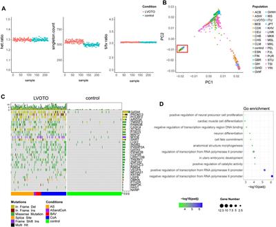 Whole exome sequencing reveals genetic landscape associated with left ventricular outflow tract obstruction in Chinese Han population